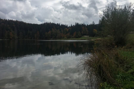 Lac Genin