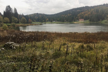 Lac Genin