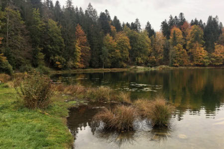 Lac Genin