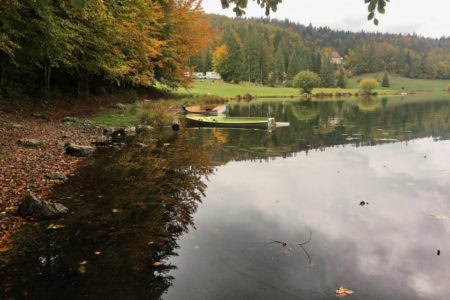 Lac Genin