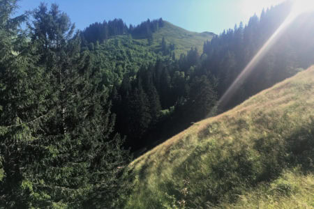 Le tour du Teysachaux et du Moléson