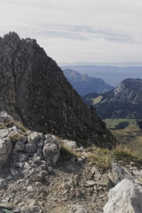 Depuis le Col du Rasoir, vue sur le Pic de Jallouvre... et un chamois