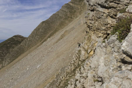 Vue depuis le Col du Rasoir... et deux chamois à proximité