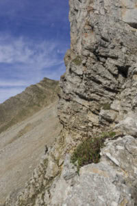 Vue depuis le Col du Rasoir... et quatre chamois à proximité