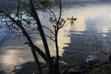 Le Lac de Joux