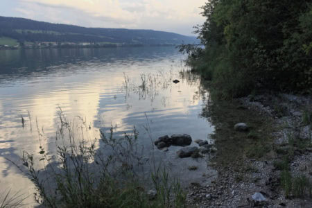 Le Lac de Joux